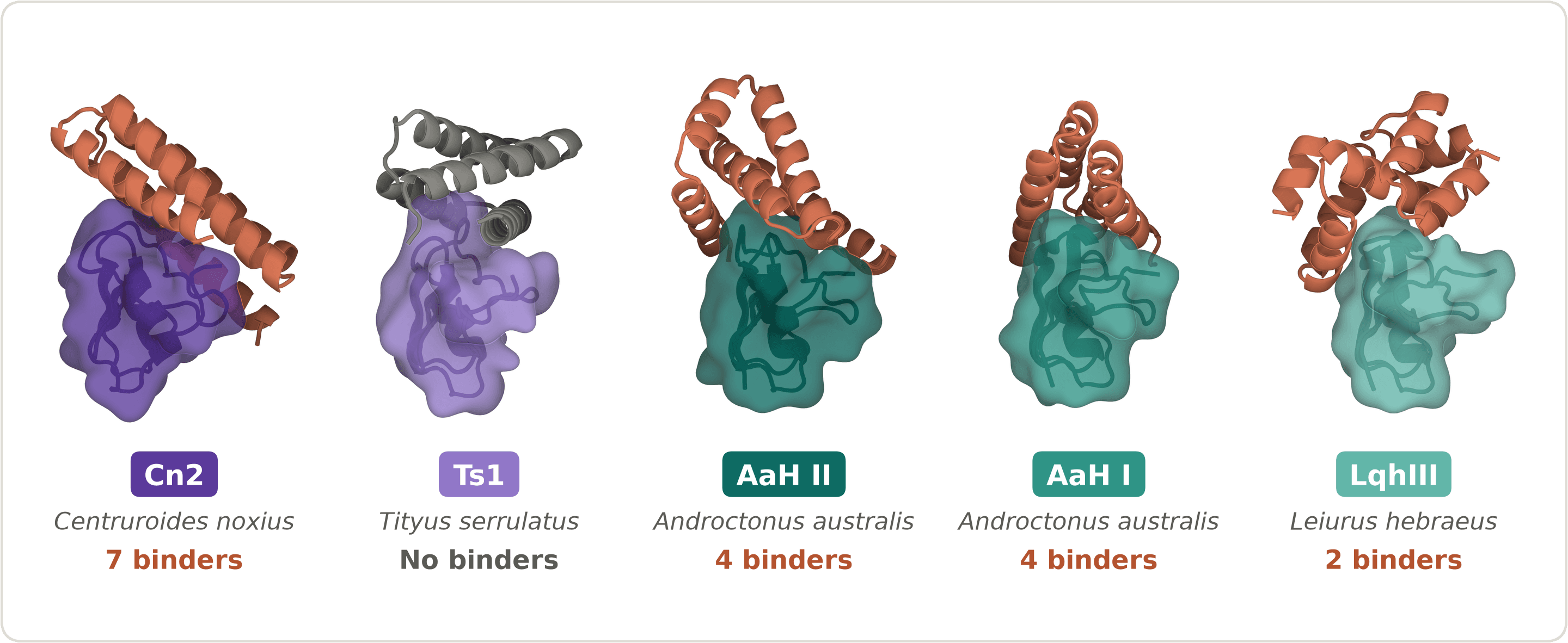 Anthropic’s scientific figure shows designed protein–toxin complexes and the reported binding hits across five toxin targets: 7, 0, 4, 4 and 2. These are computational structures and lab binding results, not evidence of an antivenom.